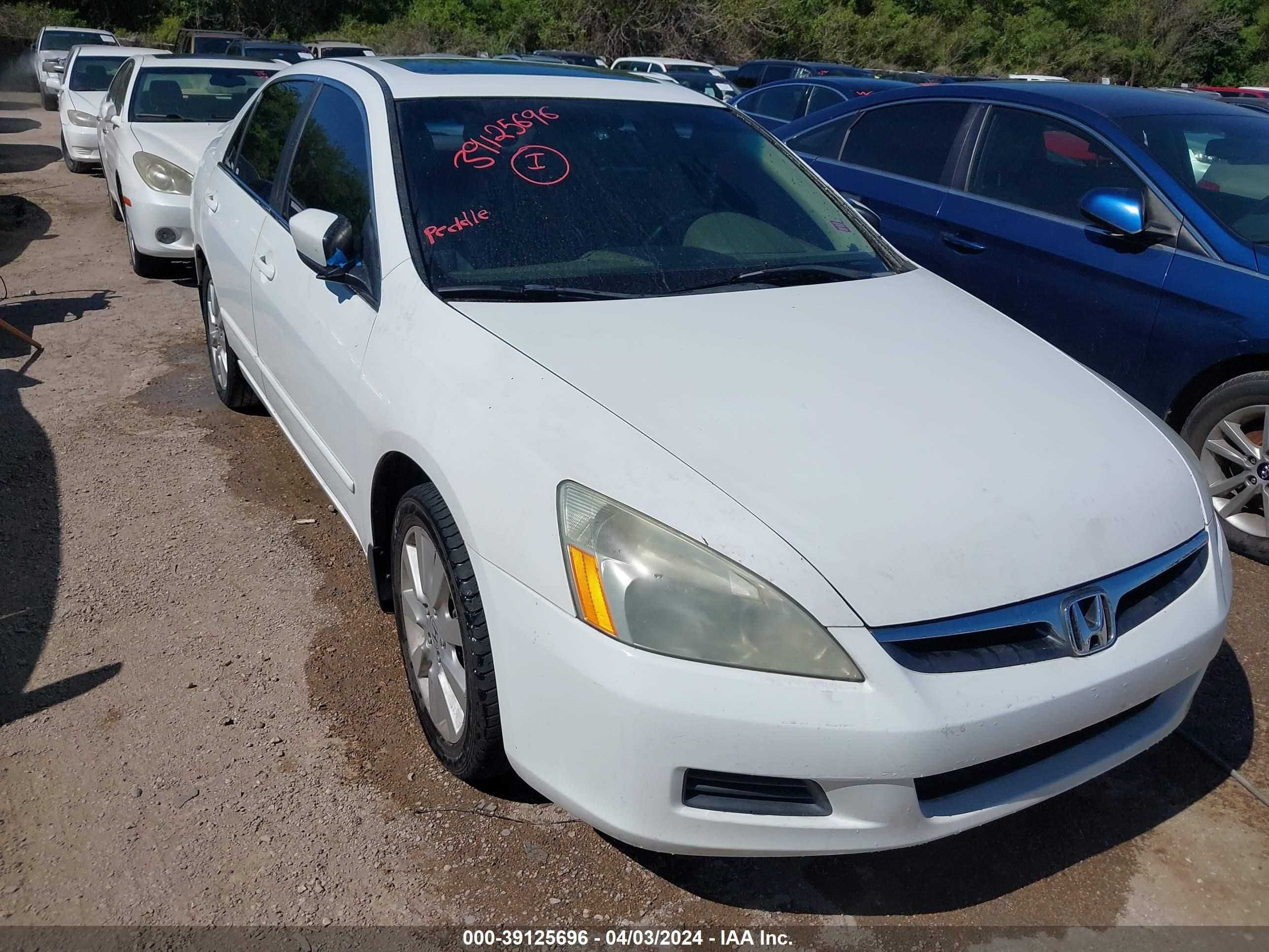 HONDA ACCORD 2007 1hgcm66557a077847