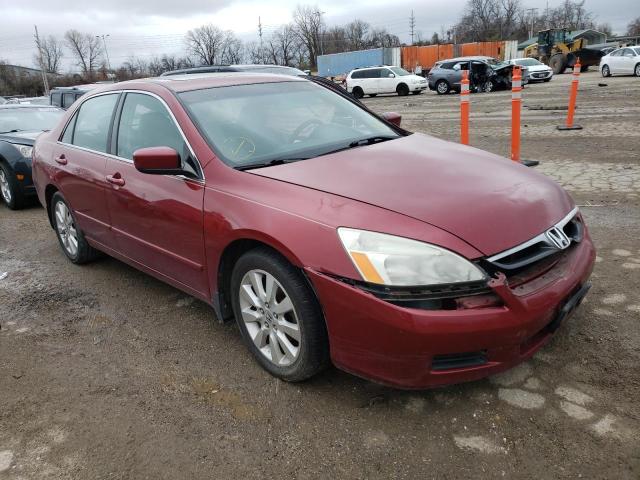 HONDA ACCORD EX 2007 1hgcm66557a080960