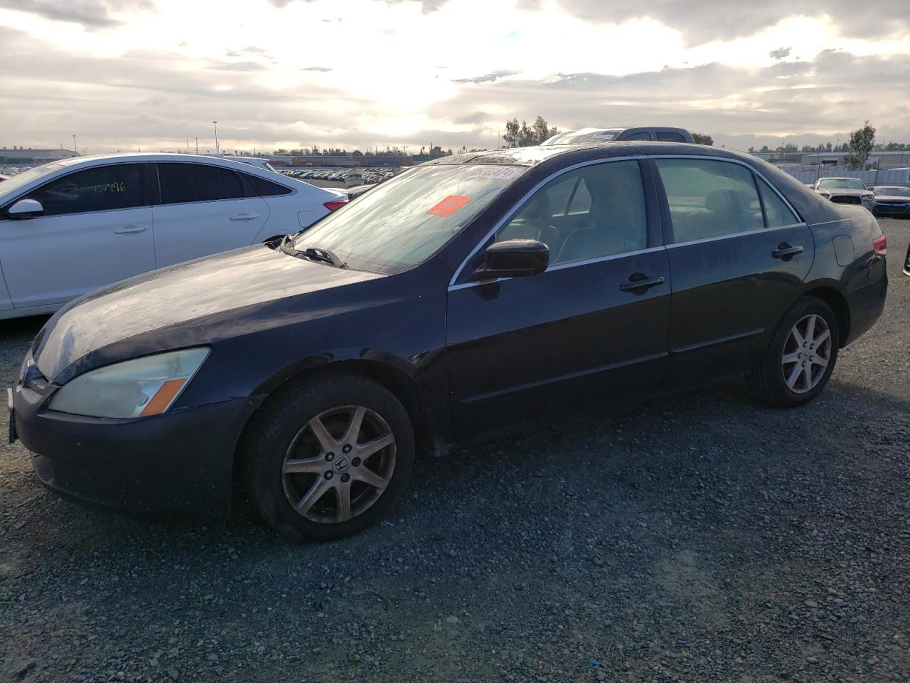 HONDA ACCORD 2004 1hgcm66564a062916