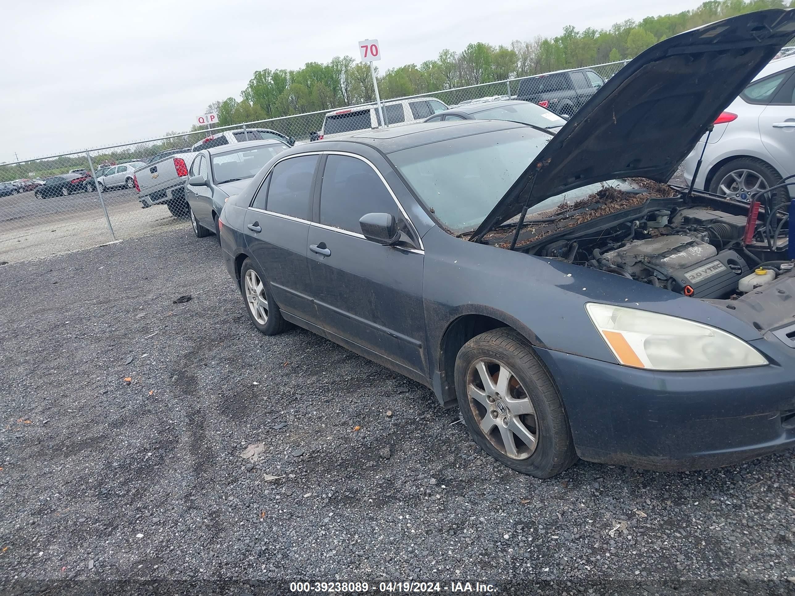 HONDA ACCORD 2005 1hgcm66565a006699