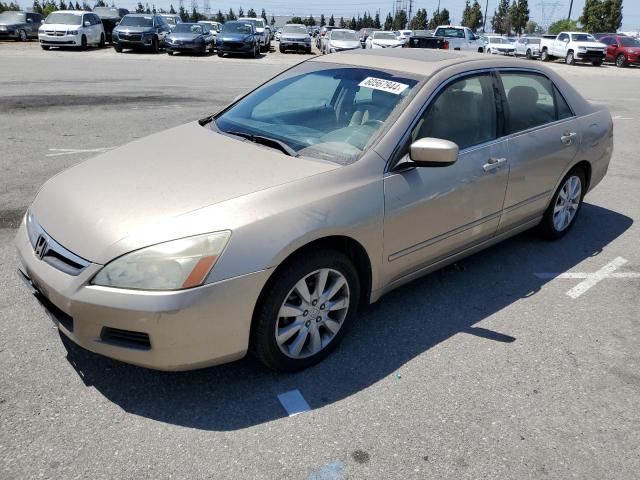 HONDA ACCORD 2006 1hgcm66566a017753