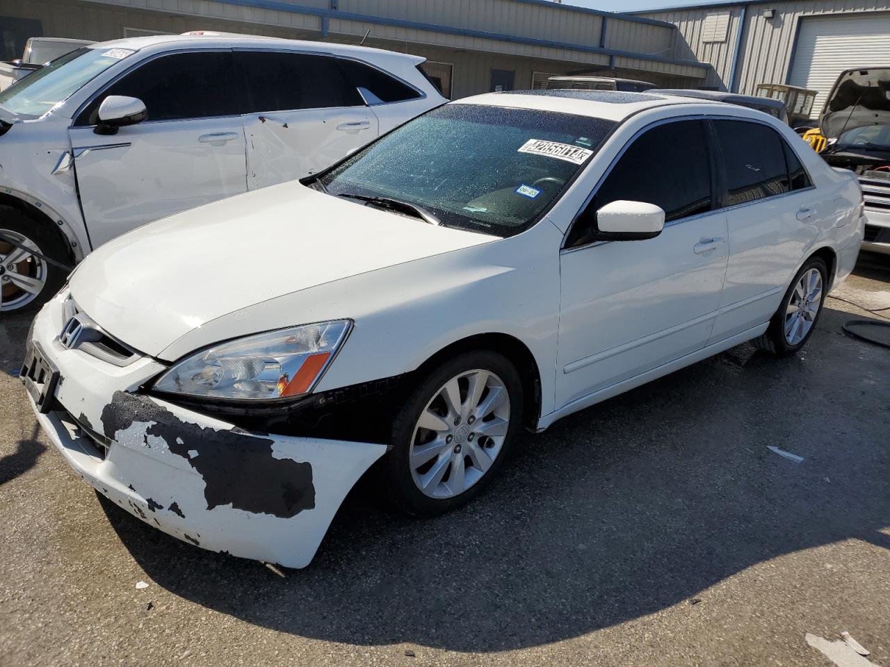 HONDA ACCORD 2006 1hgcm66566a026825