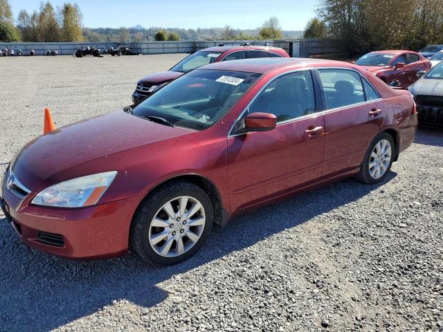 HONDA ACCORD EX 2006 1hgcm66566a065186