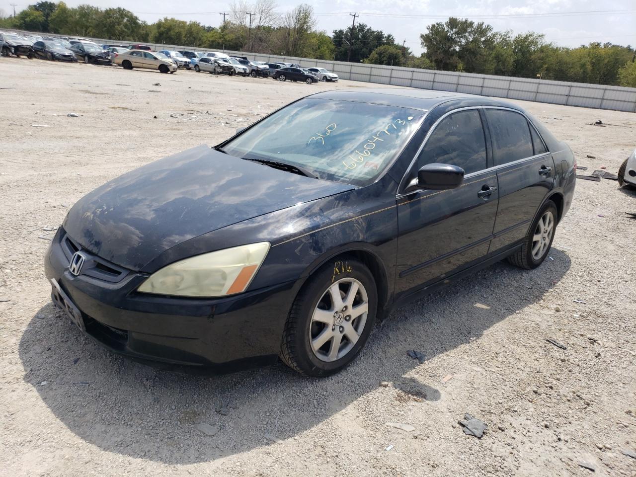 HONDA ACCORD 2005 1hgcm66575a016383