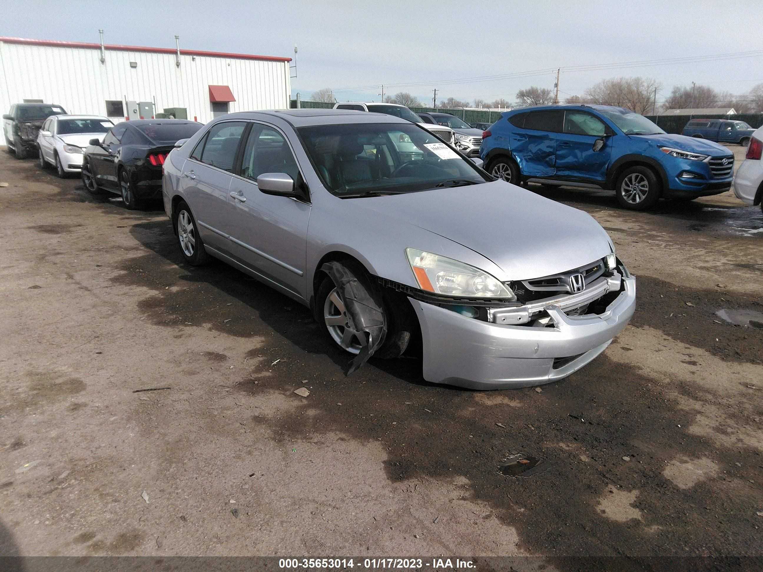 HONDA ACCORD 2005 1hgcm66575a022975