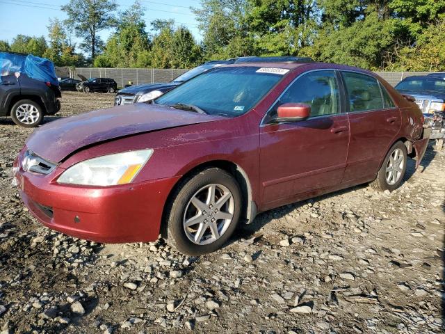 HONDA ACCORD EX 2004 1hgcm66584a060990