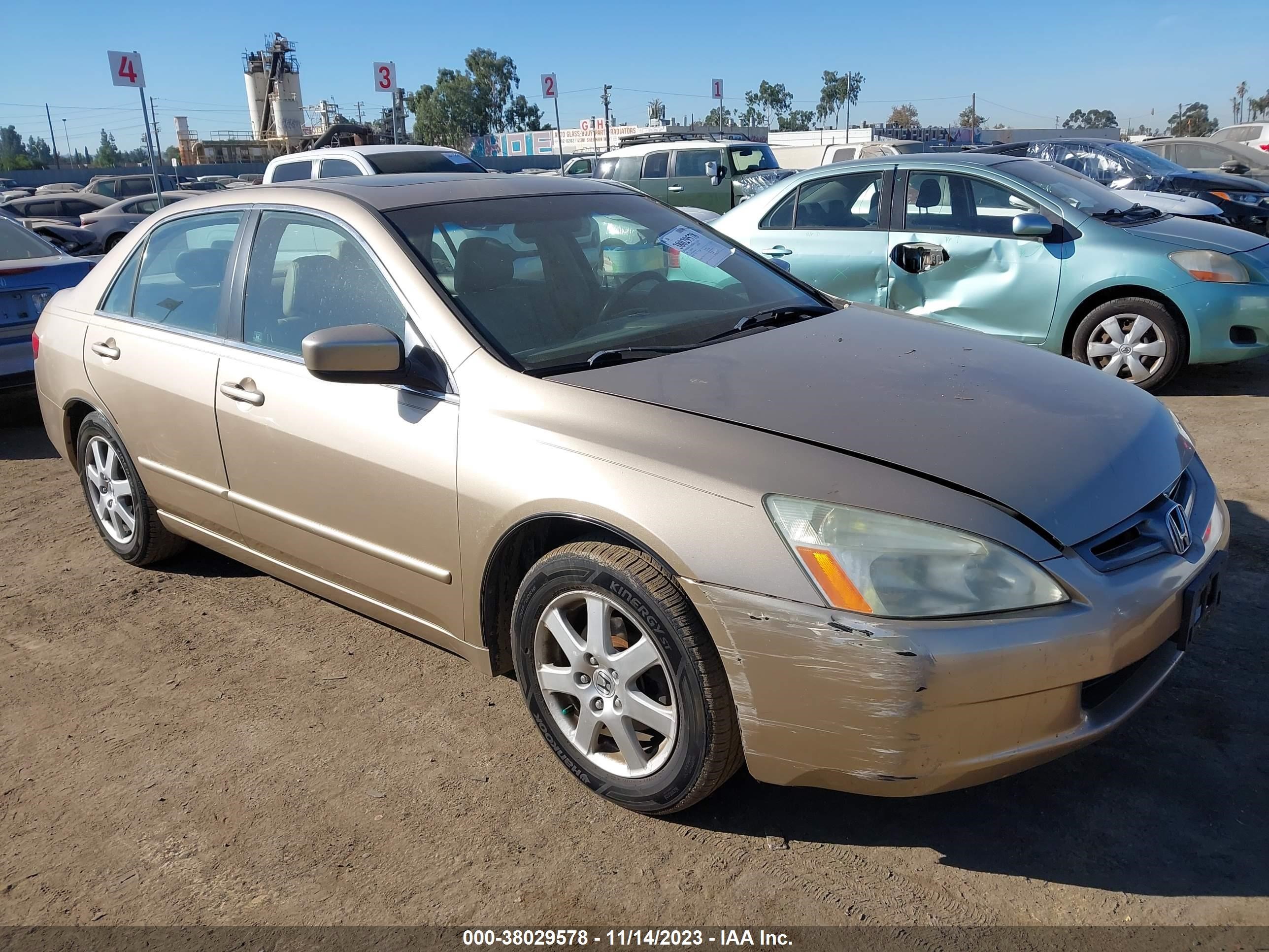 HONDA ACCORD 2005 1hgcm66585a056276