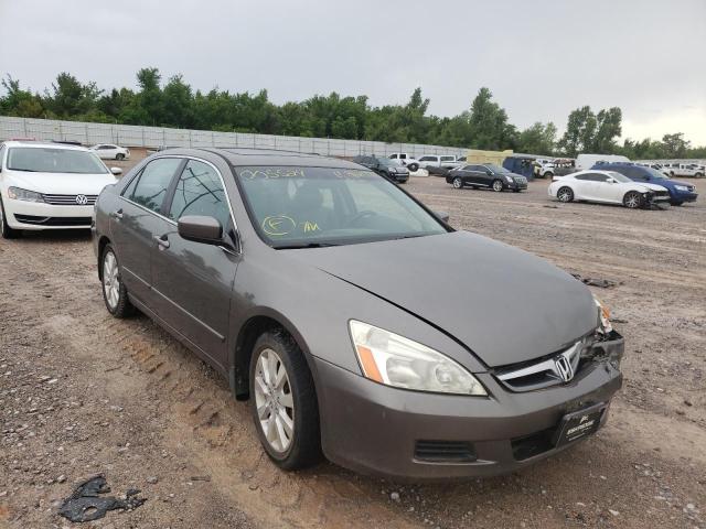 HONDA ACCORD EX 2006 1hgcm66586a005524