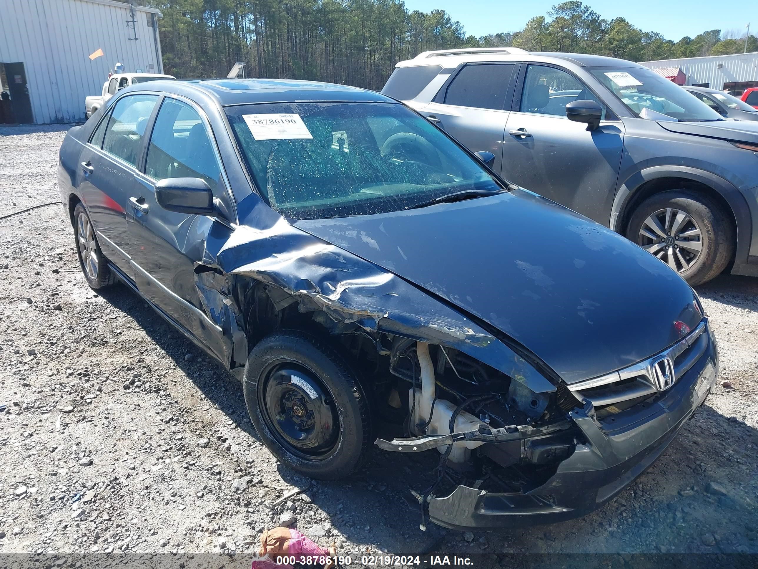 HONDA ACCORD 2006 1hgcm66586a010397