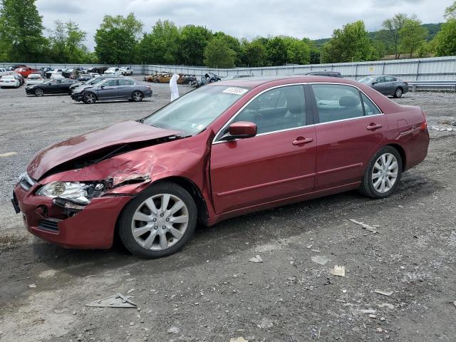 HONDA ACCORD 2006 1hgcm66586a052701