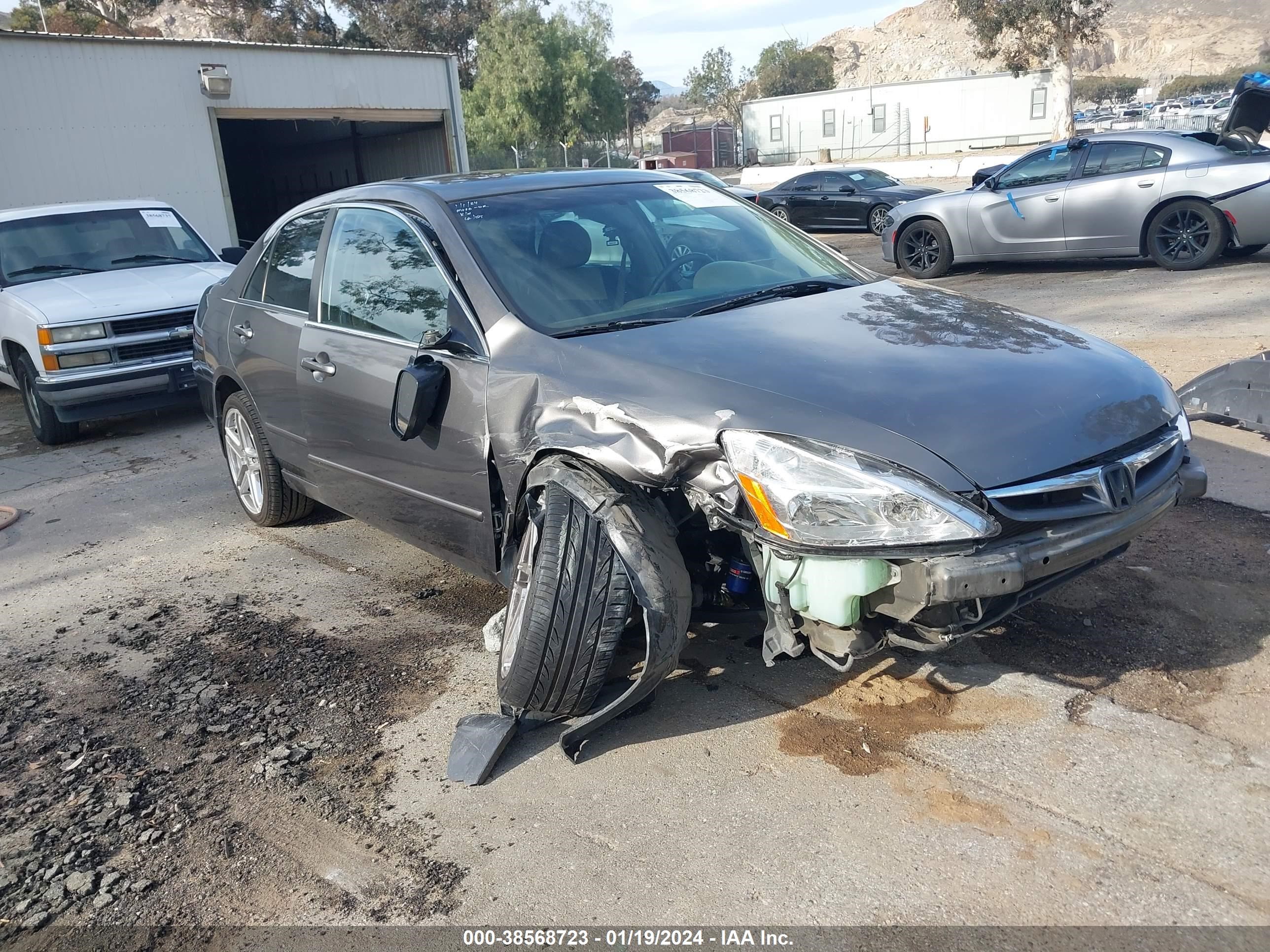 HONDA ACCORD 2007 1hgcm66587a055664