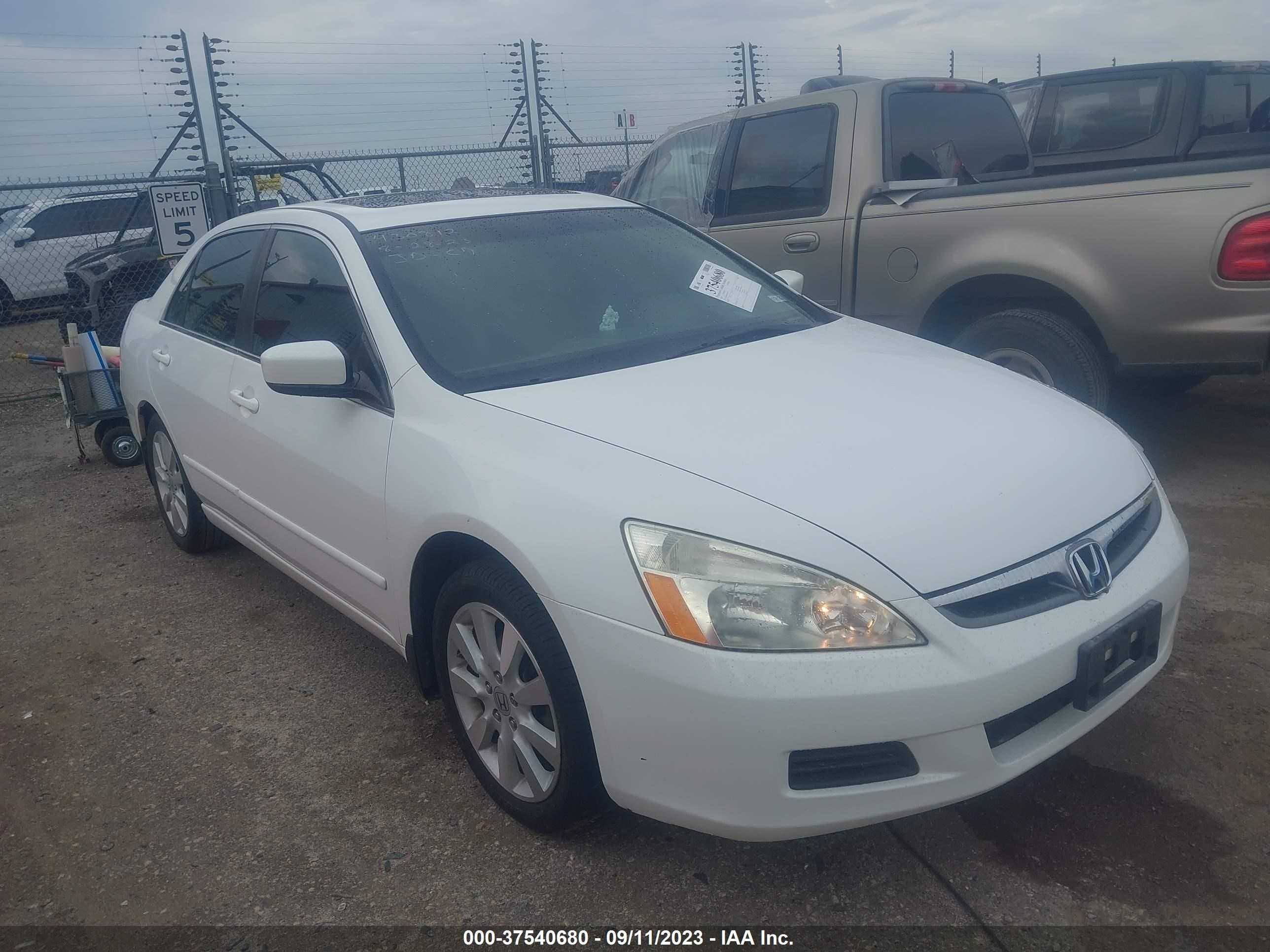 HONDA ACCORD 2007 1hgcm66587a103079