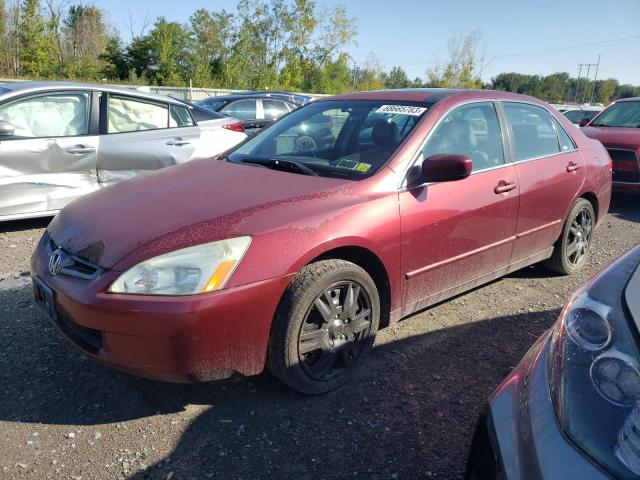 HONDA ACCORD EX 2003 1hgcm66593a080504