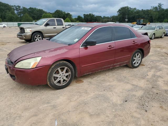 HONDA ACCORD EX 2004 1hgcm66594a043566