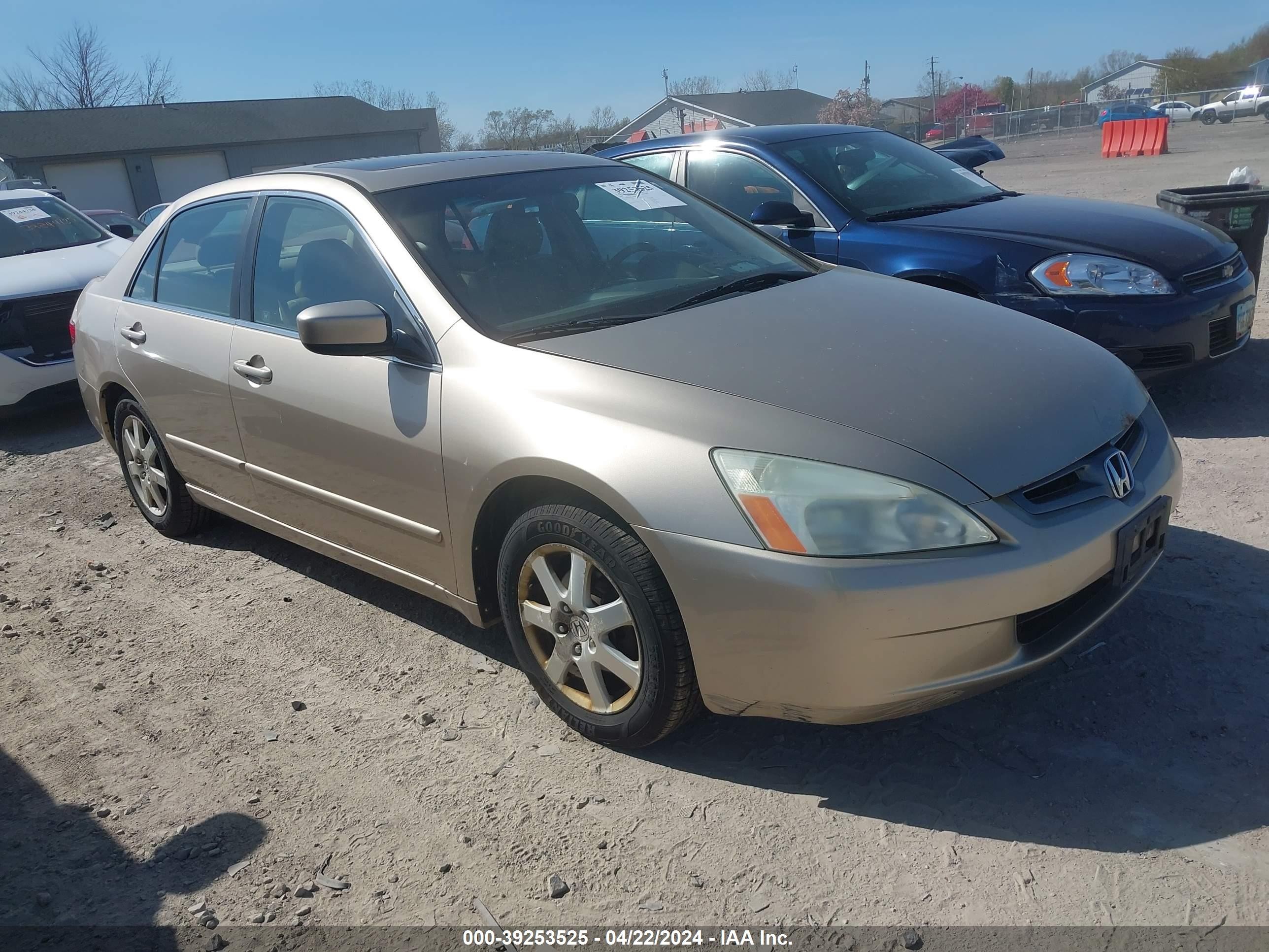 HONDA ACCORD 2005 1hgcm66595a000976