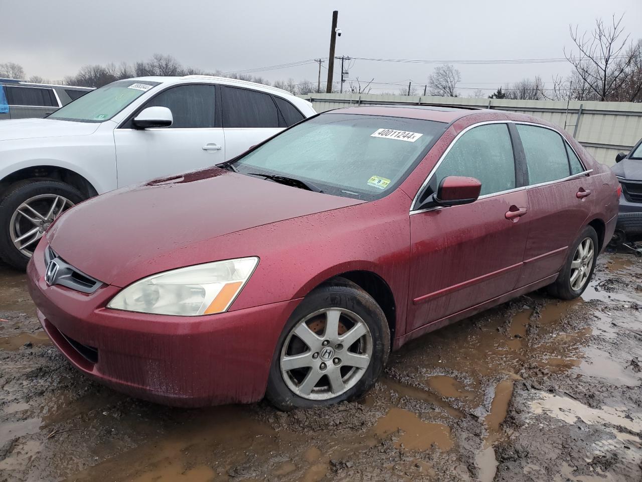 HONDA ACCORD 2005 1hgcm66595a025960