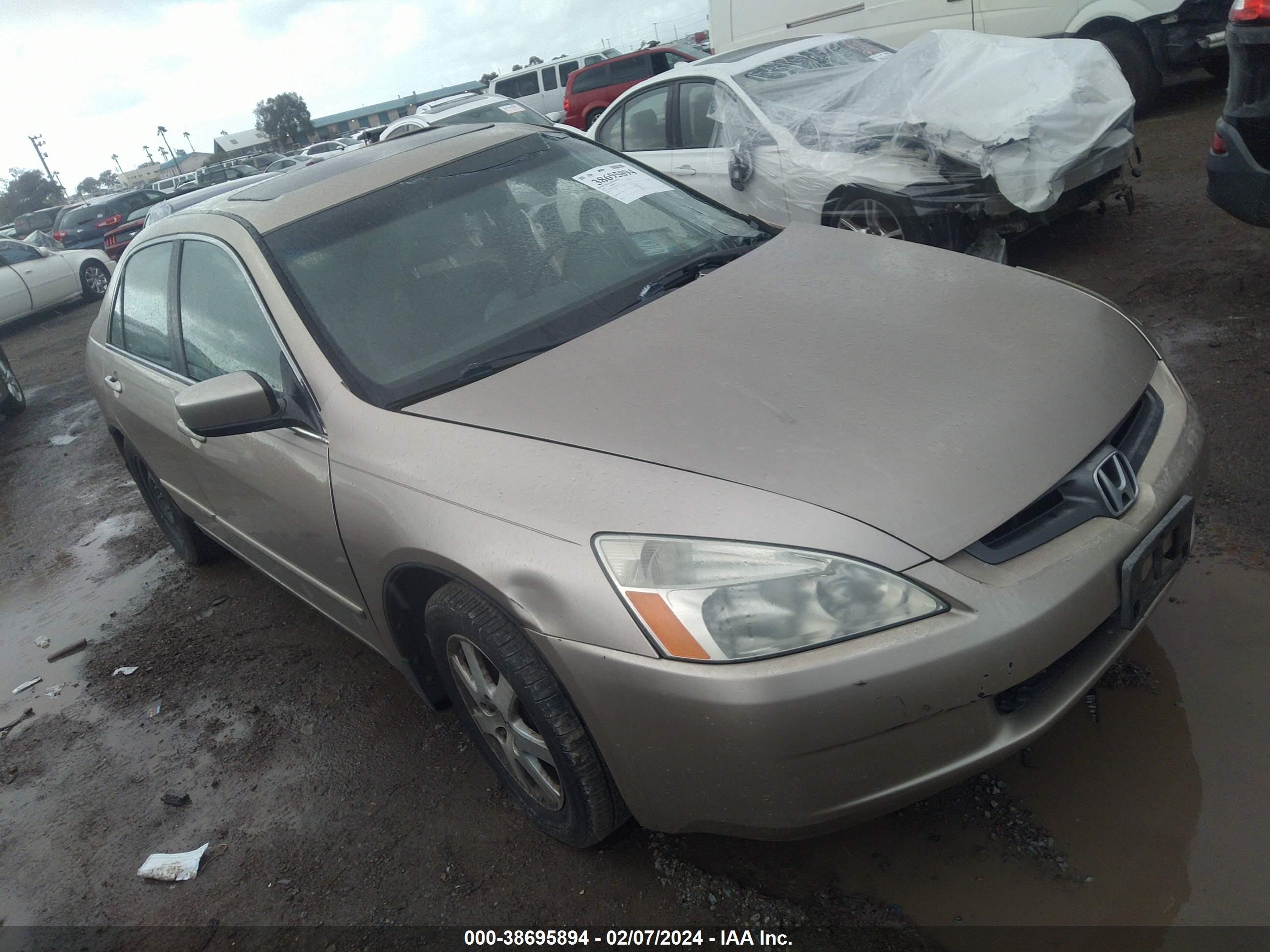 HONDA ACCORD 2005 1hgcm66595a041317