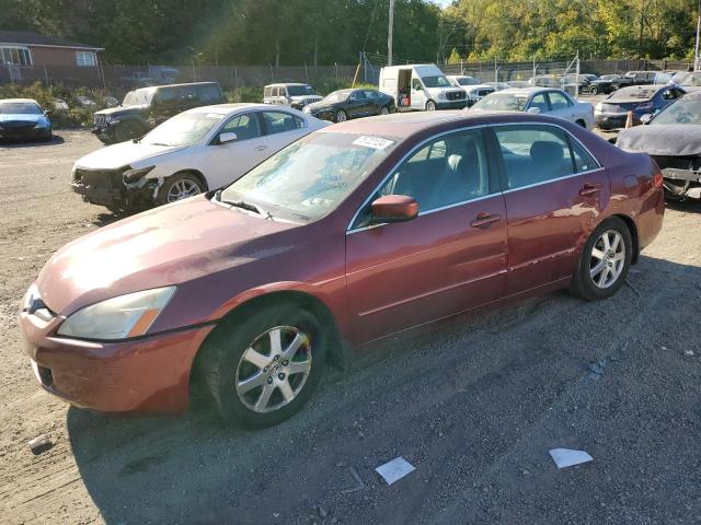 HONDA ACCORD EX 2005 1hgcm66595a066525