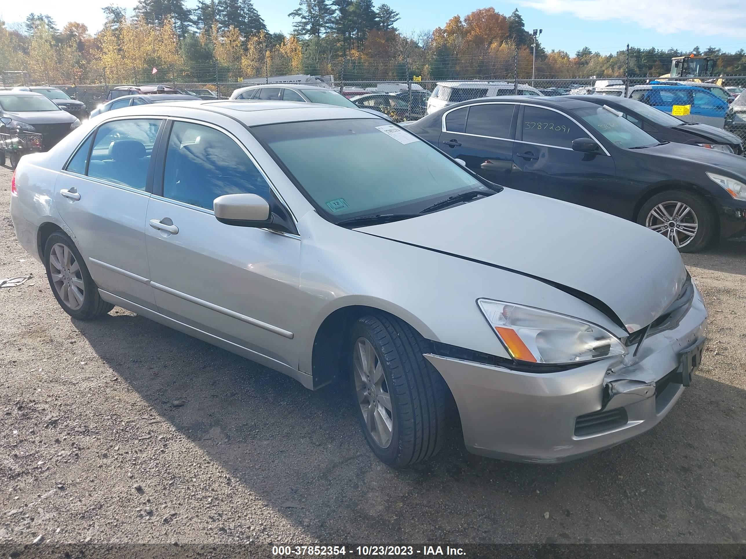 HONDA ACCORD 2006 1hgcm66596a005791