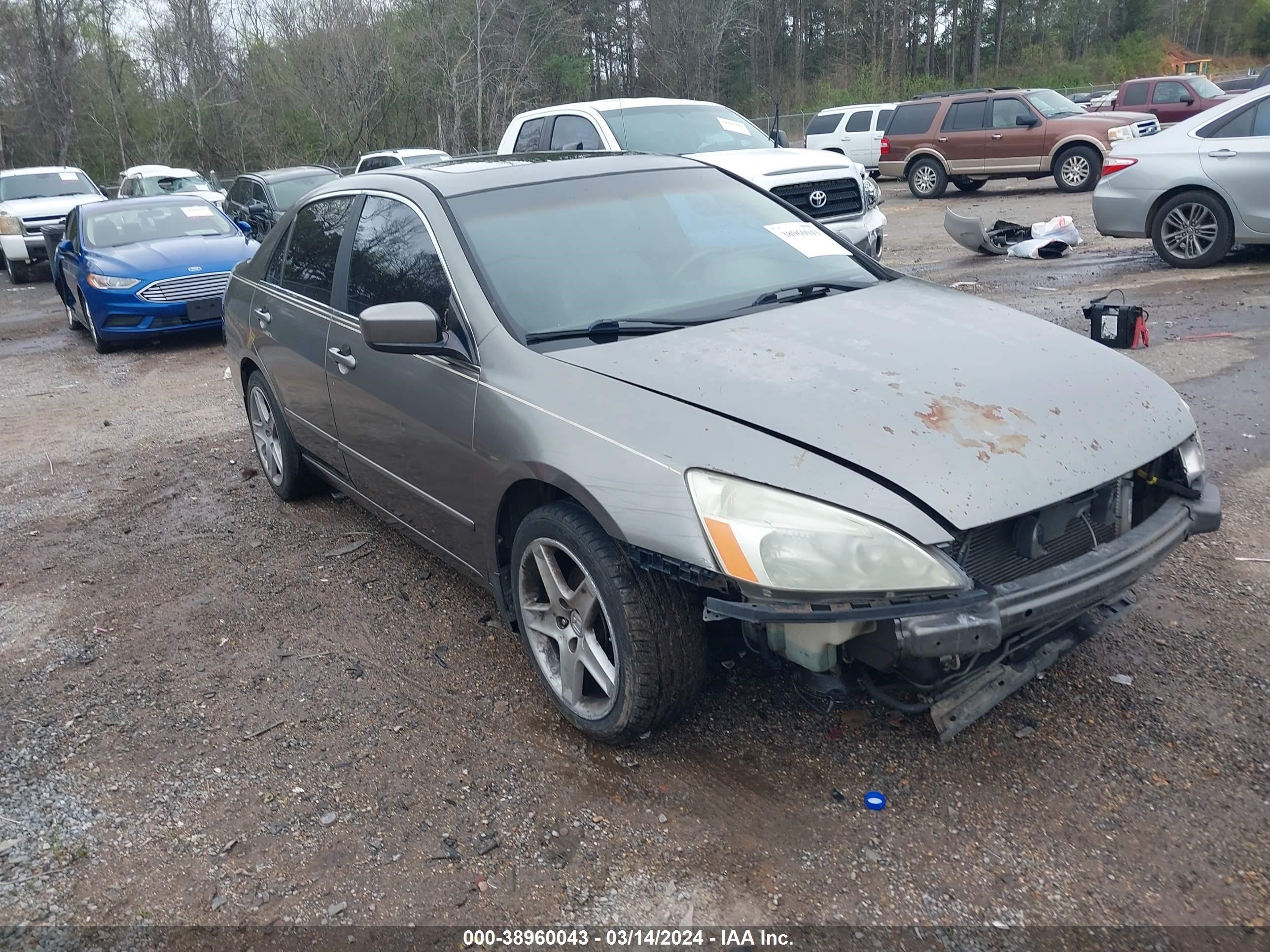 HONDA ACCORD 2006 1hgcm66596a015012