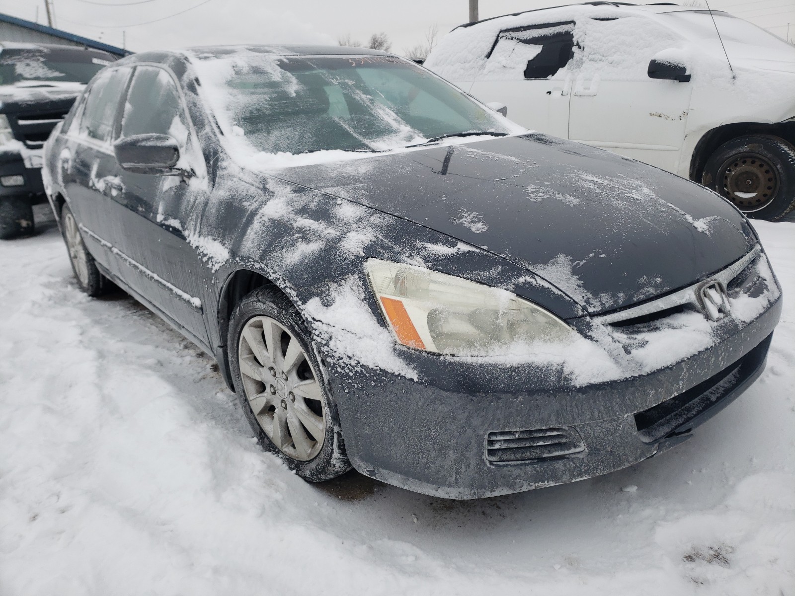 HONDA ACCORD EX 2006 1hgcm66596a032960