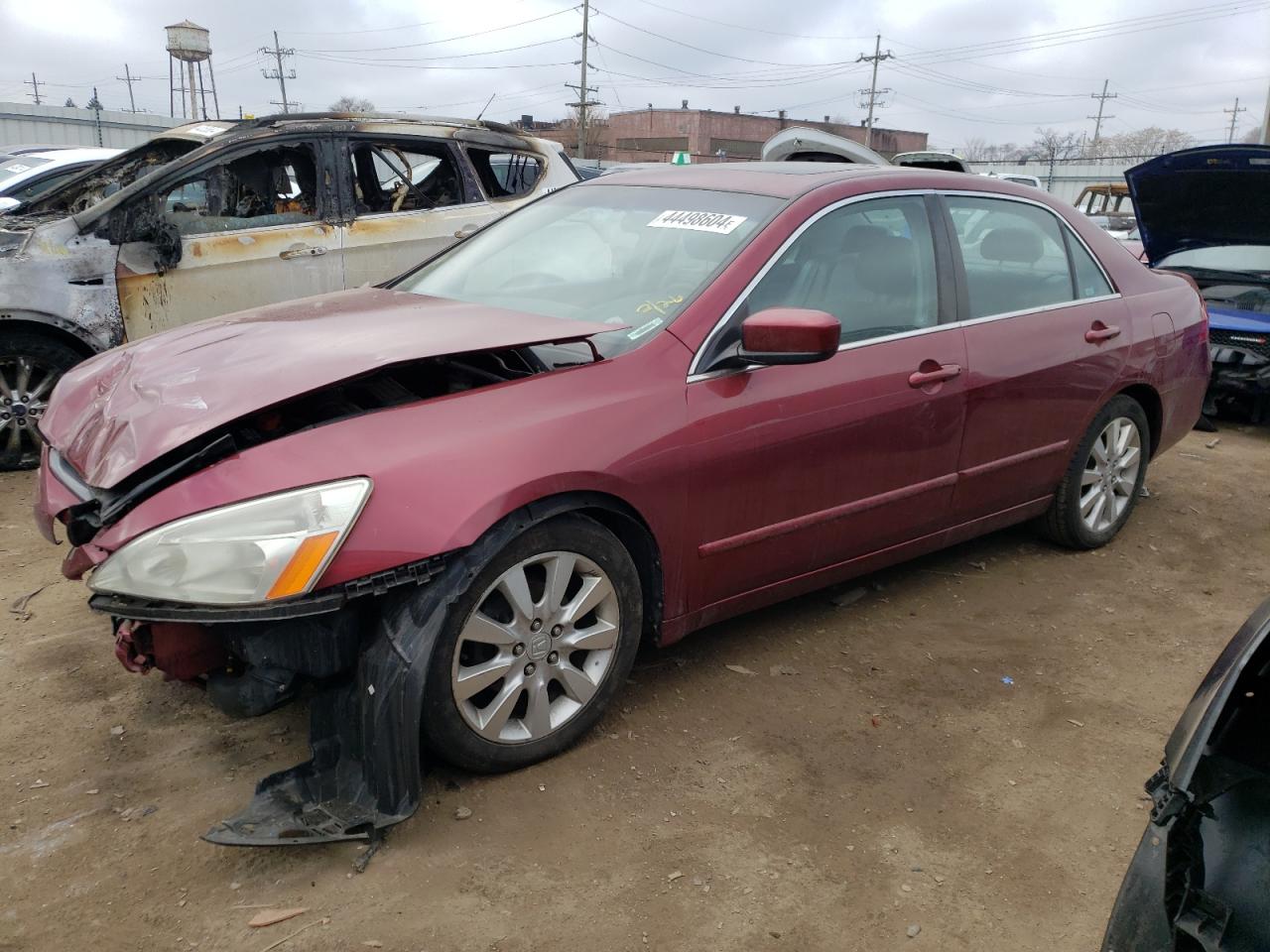 HONDA ACCORD 2006 1hgcm66596a037429