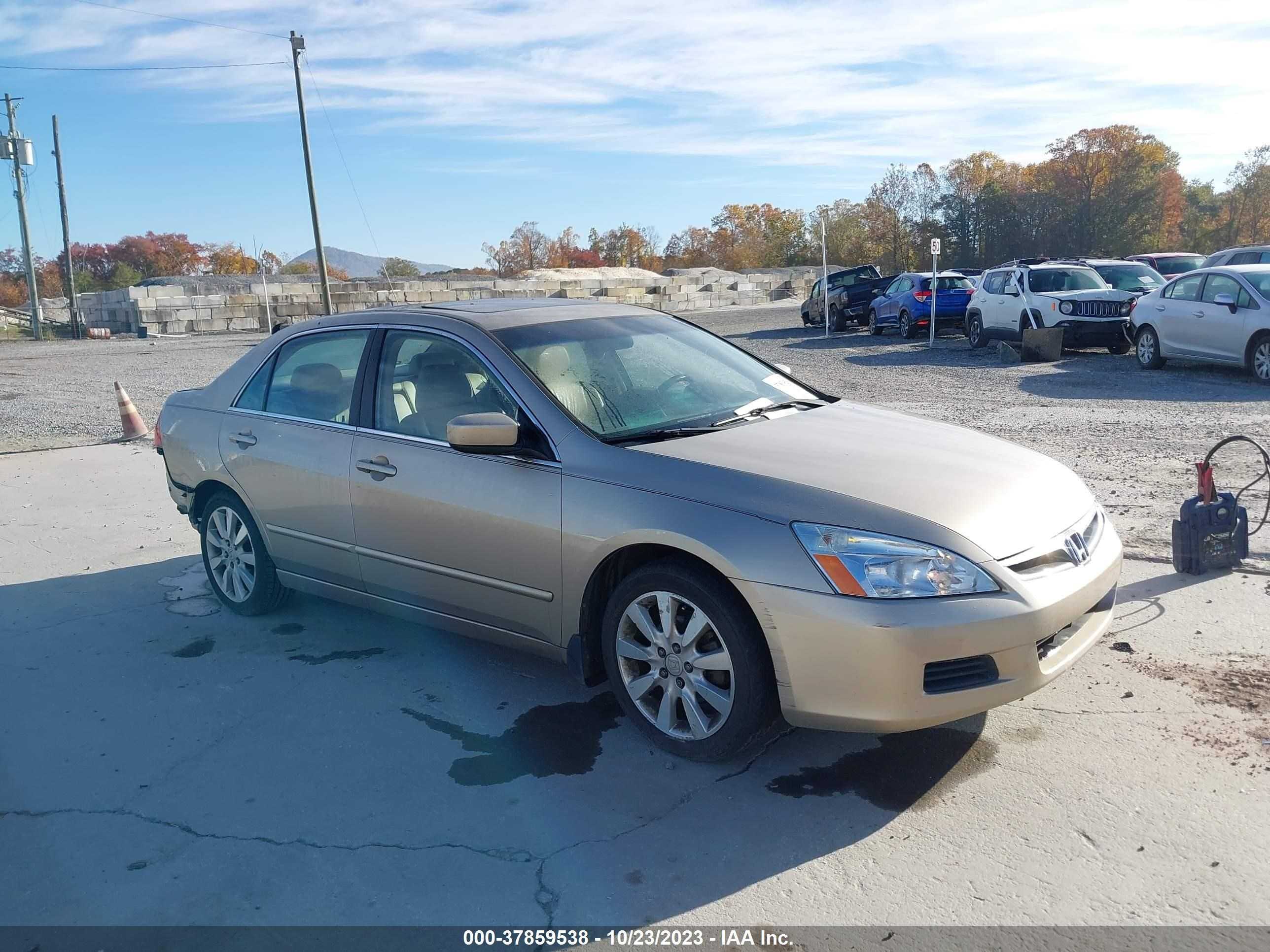 HONDA ACCORD 2006 1hgcm66596a047698