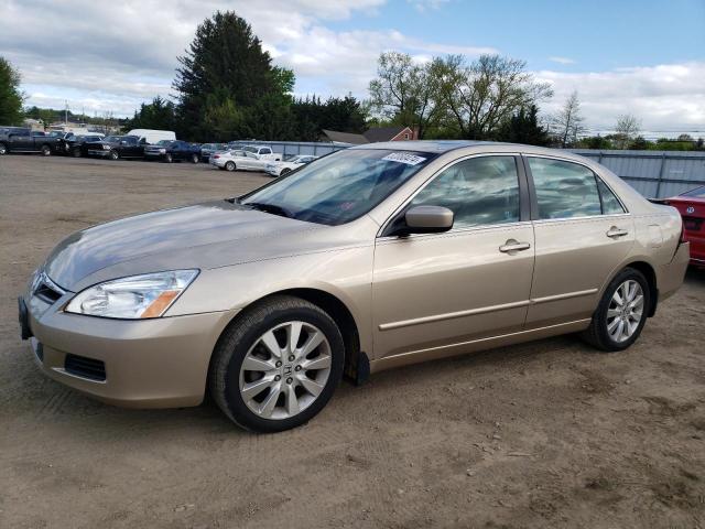 HONDA ACCORD 2007 1hgcm66597a034029