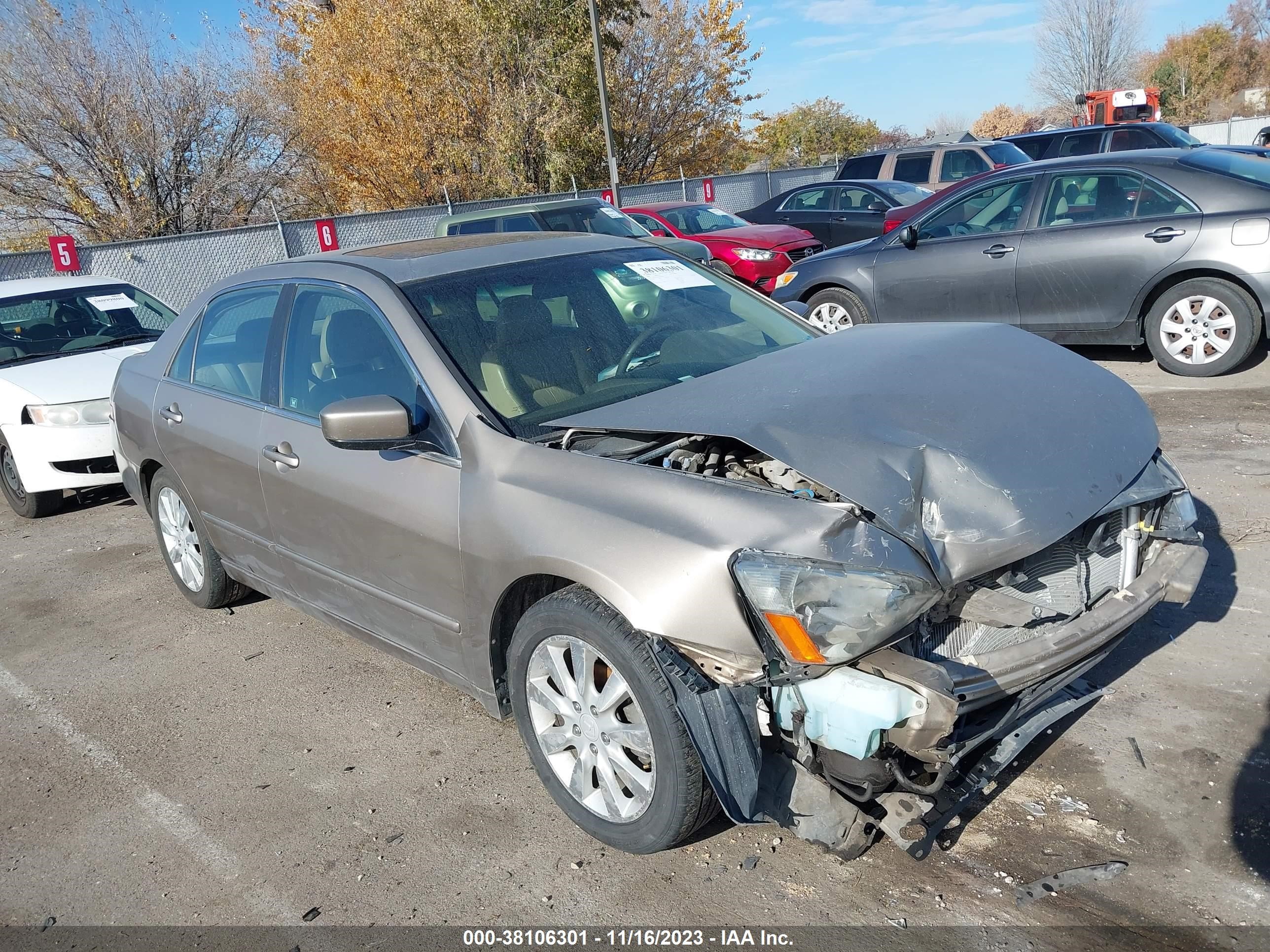 HONDA ACCORD 2006 1hgcm665x6a003001