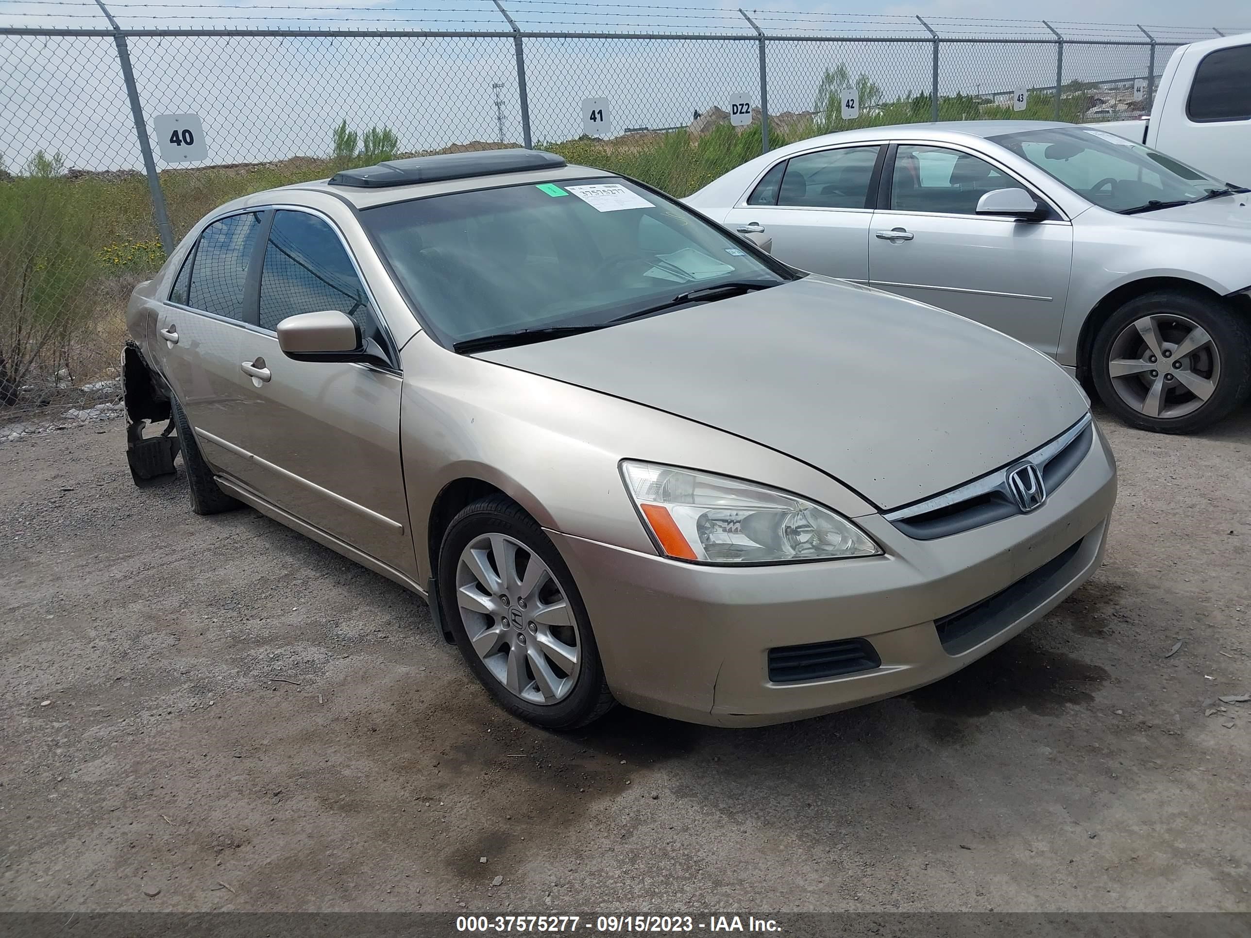 HONDA ACCORD 2007 1hgcm665x7a091095