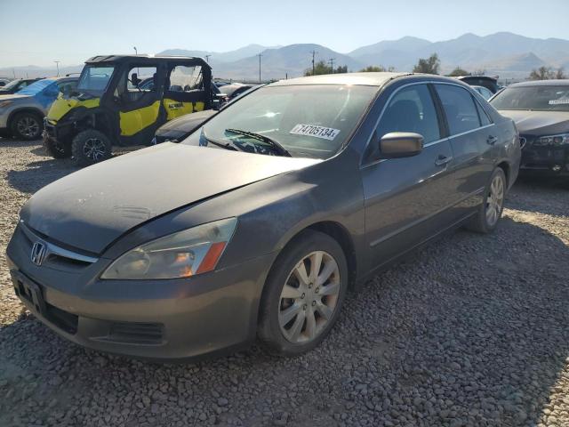 HONDA ACCORD EX 2006 1hgcm66806a072192