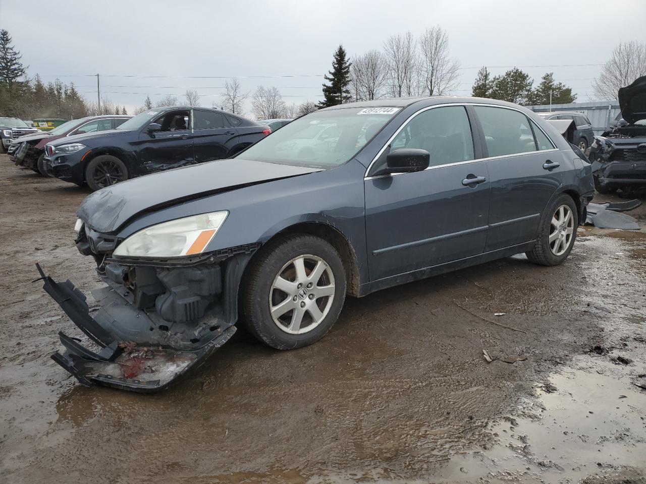 HONDA ACCORD 2005 1hgcm66845a037640