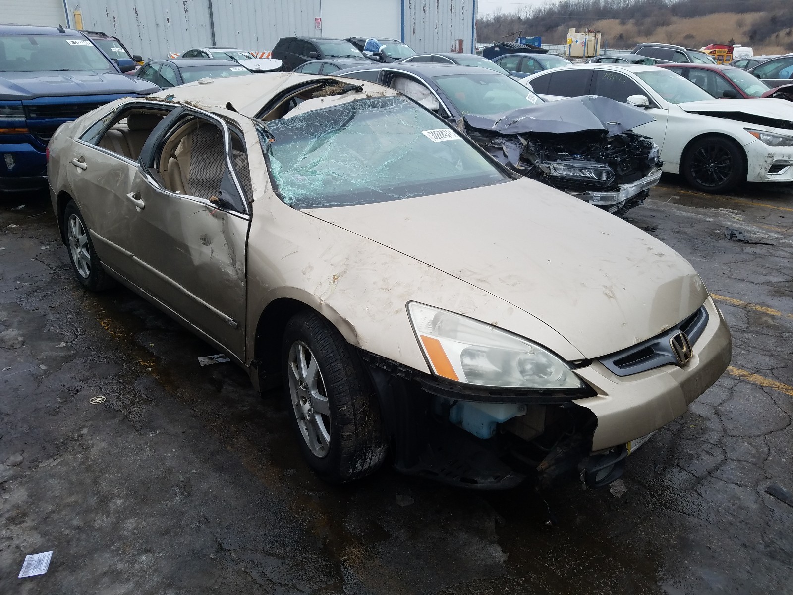 HONDA ACCORD EX 2005 1hgcm66845a055068