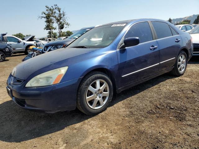 HONDA ACCORD 2005 1hgcm66855a036903