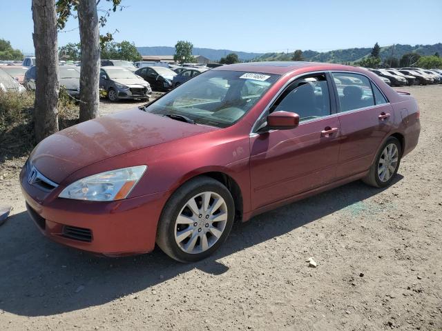 HONDA ACCORD 2006 1hgcm66866a032229