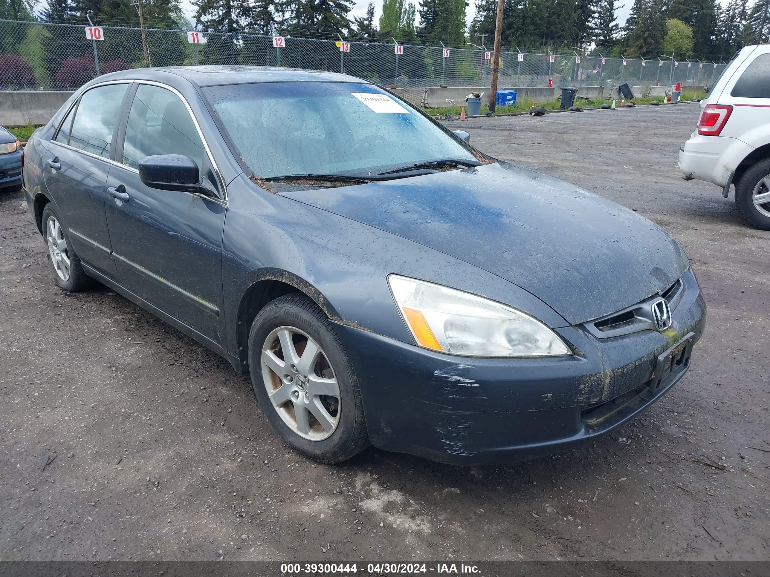 HONDA ACCORD 2005 1hgcm66885a034157