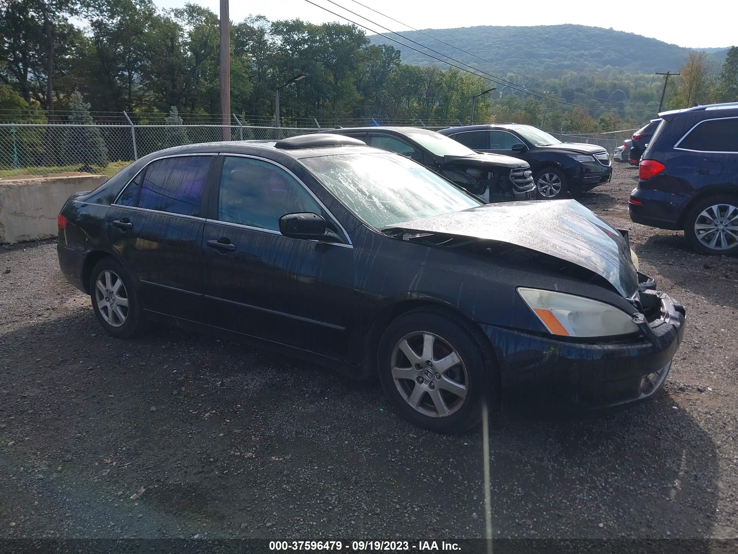 HONDA ACCORD 2005 1hgcm66885a053274