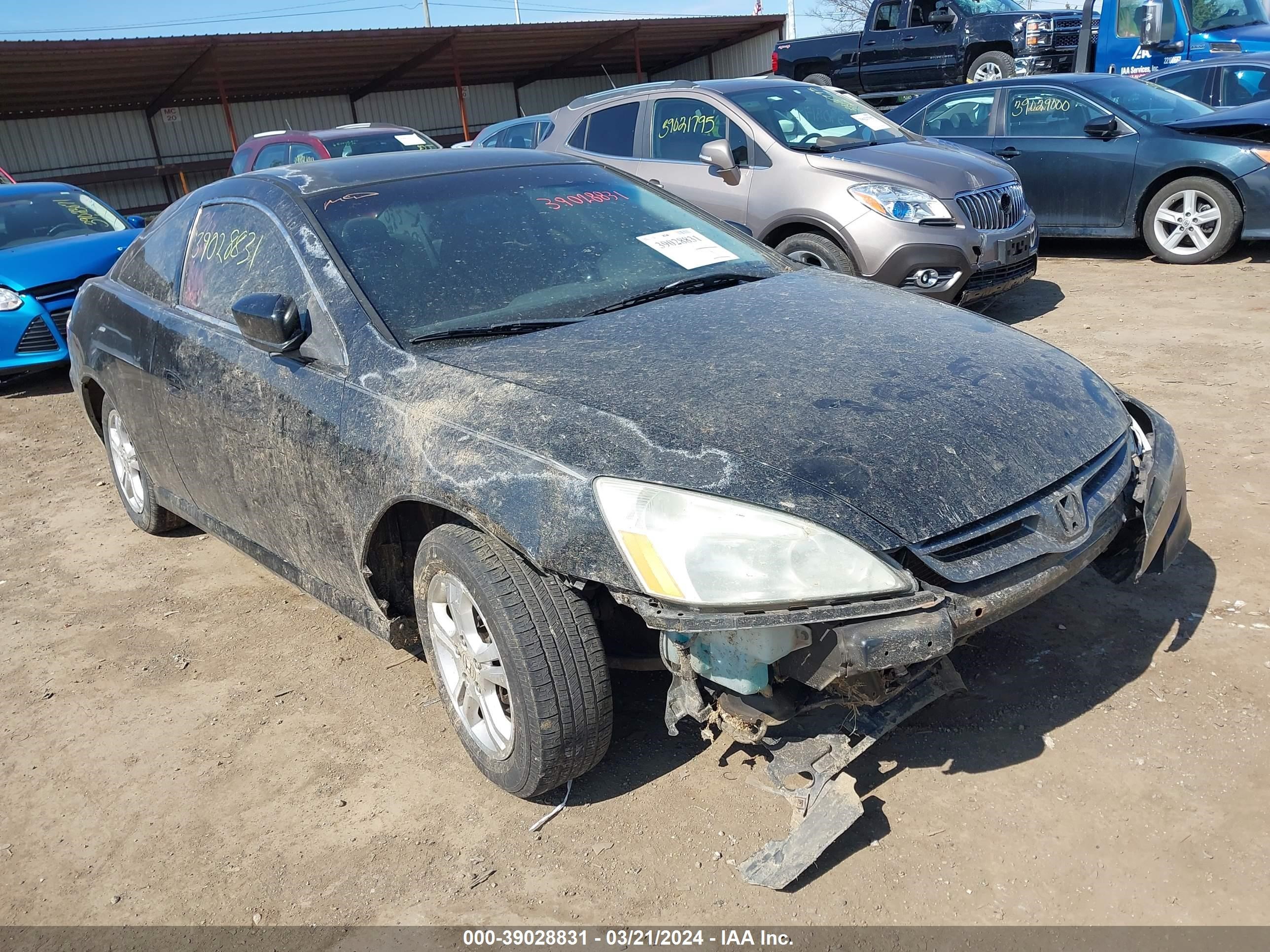 HONDA ACCORD 2006 1hgcm72346a007491