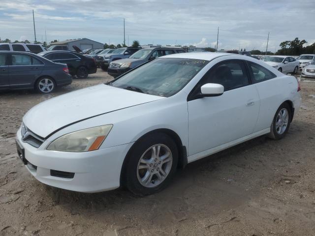 HONDA ACCORD LX 2006 1hgcm72366a005631