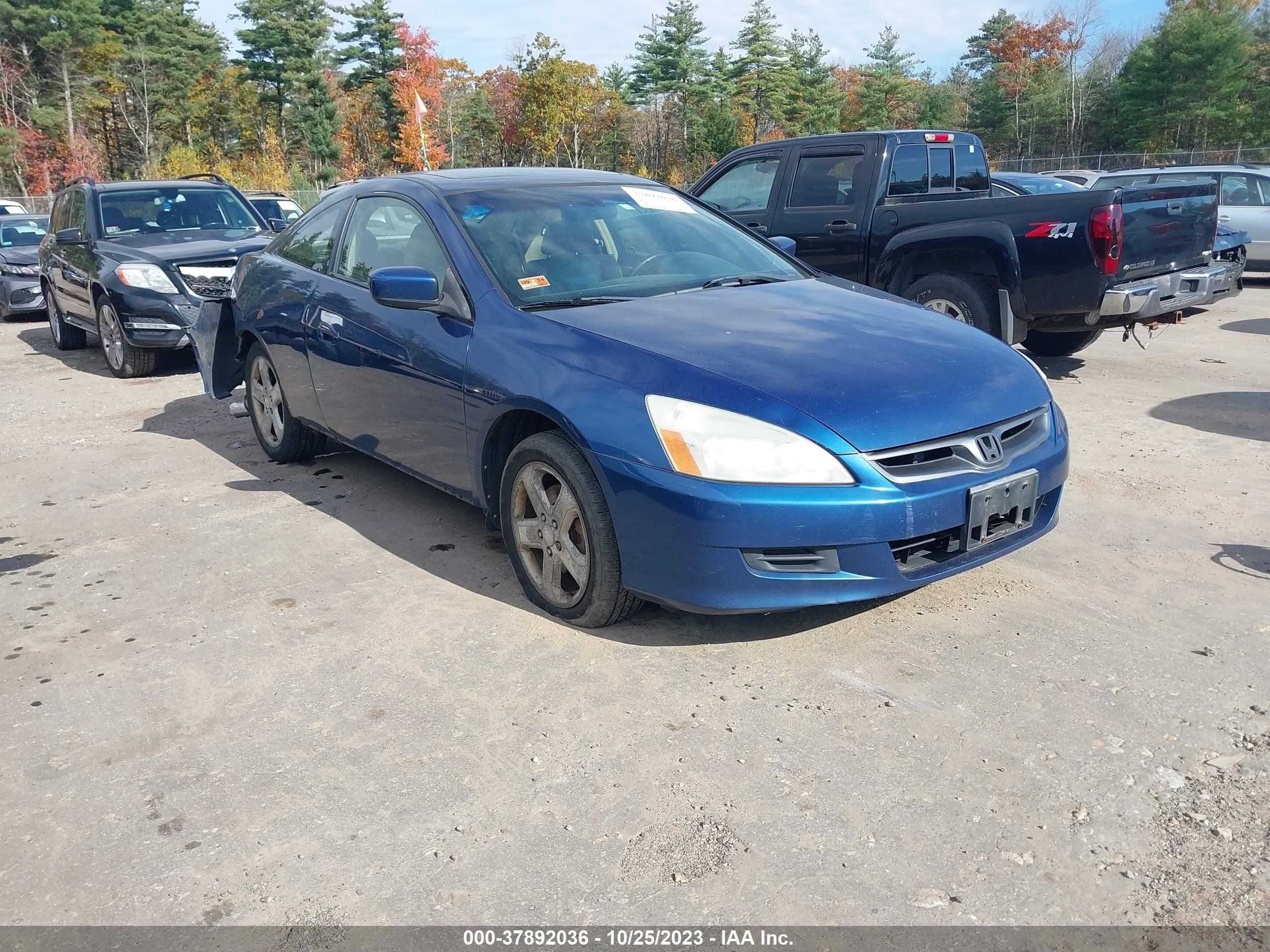 HONDA ACCORD 2006 1hgcm81676a005445