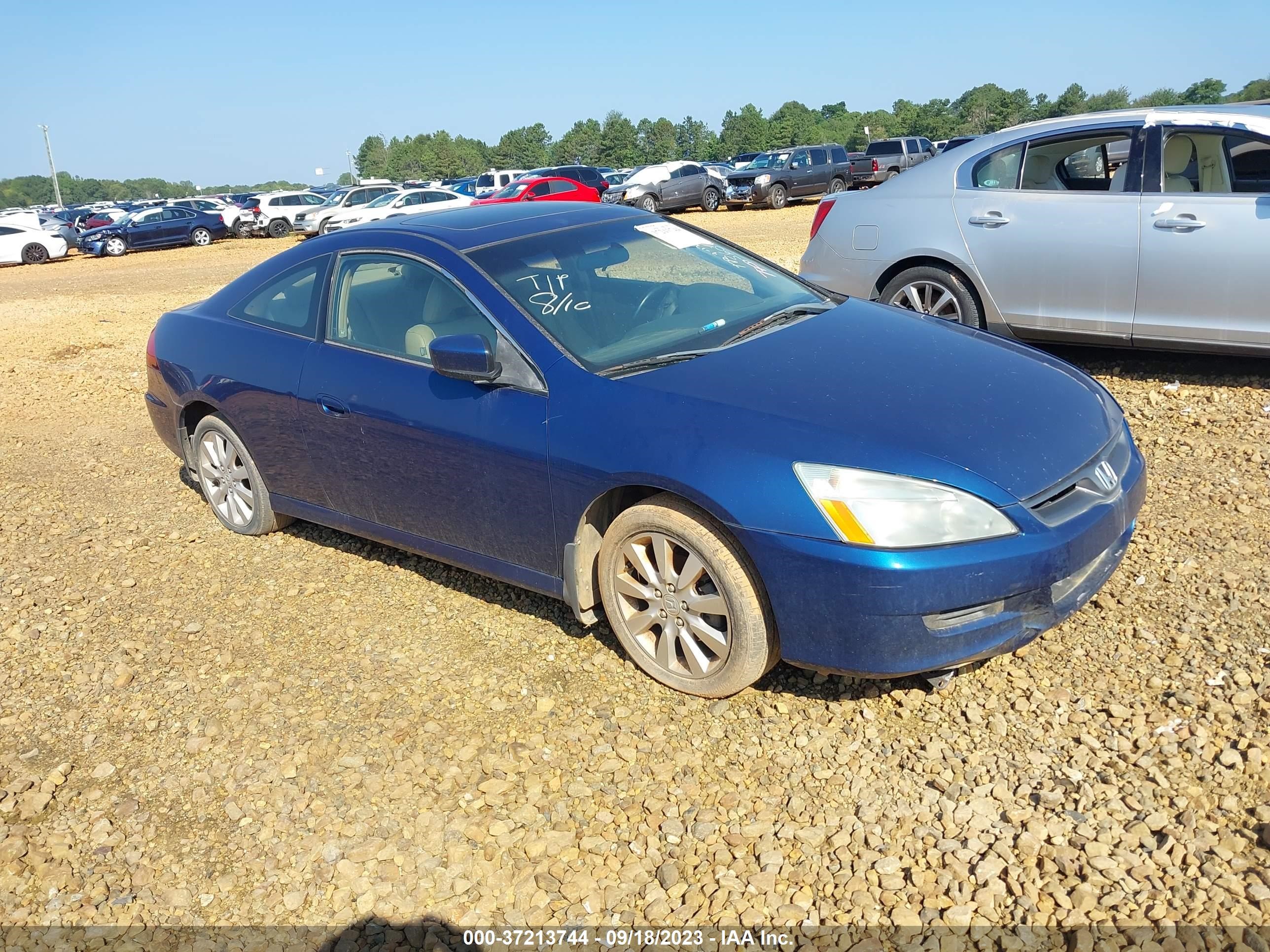 HONDA ACCORD 2006 1hgcm82646a001822