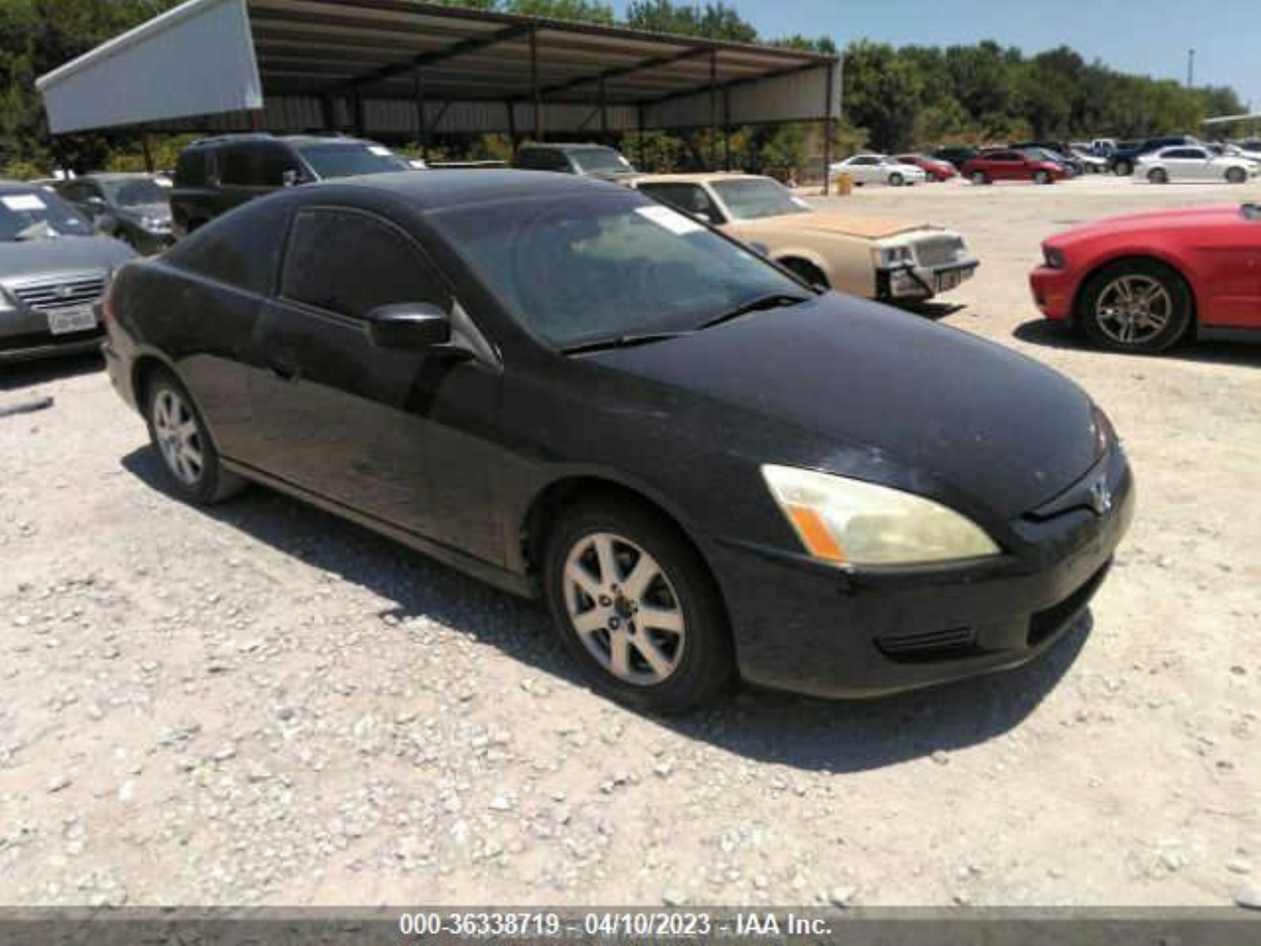 HONDA ACCORD 2005 1hgcm82675a002218