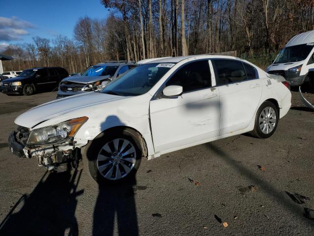 HONDA ACCORD LX 2009 1hgcp25329a100035