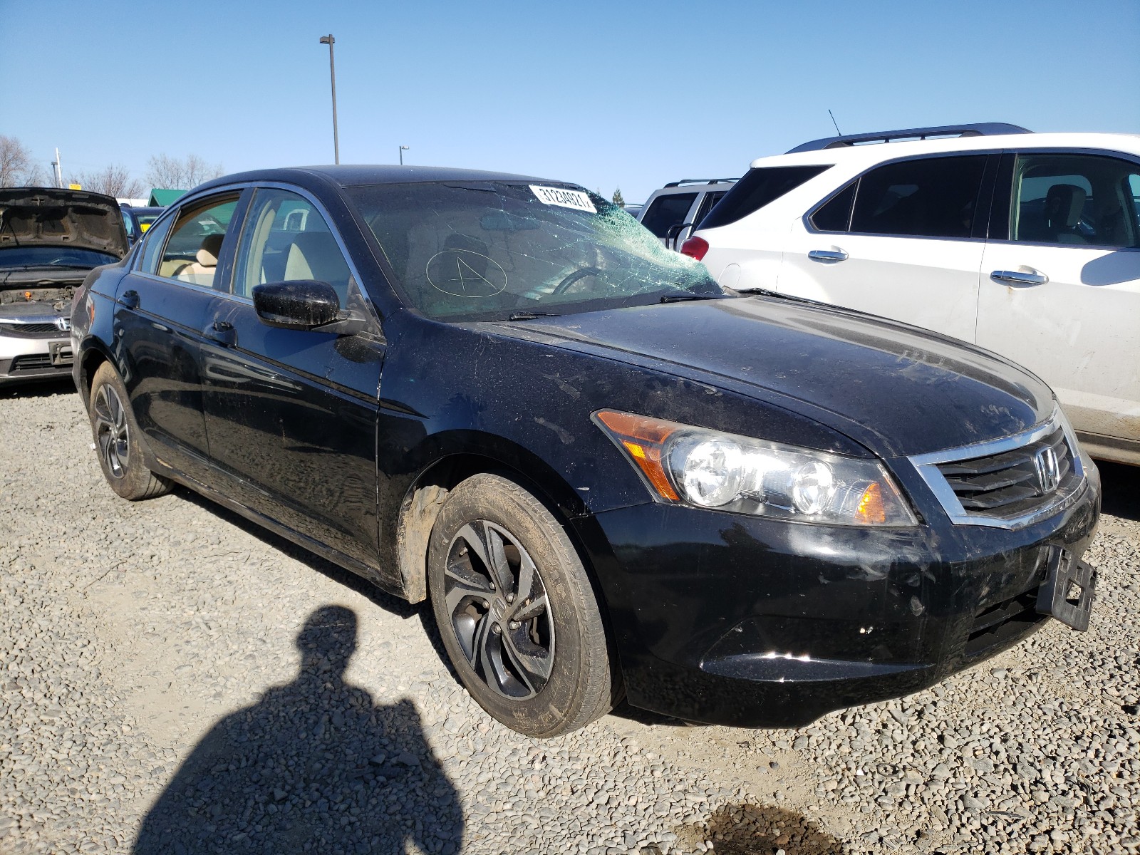 HONDA ACCORD LX 2009 1hgcp26329a193038