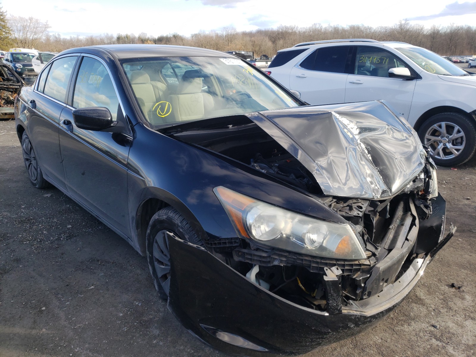 HONDA ACCORD LX 2009 1hgcp26359a098232