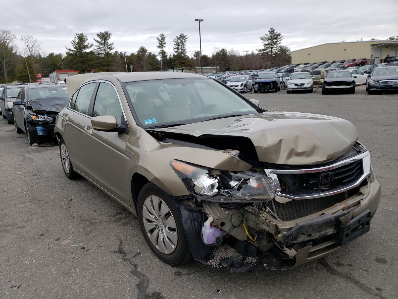 HONDA ACCORD LX 2008 1hgcp263x8a151473