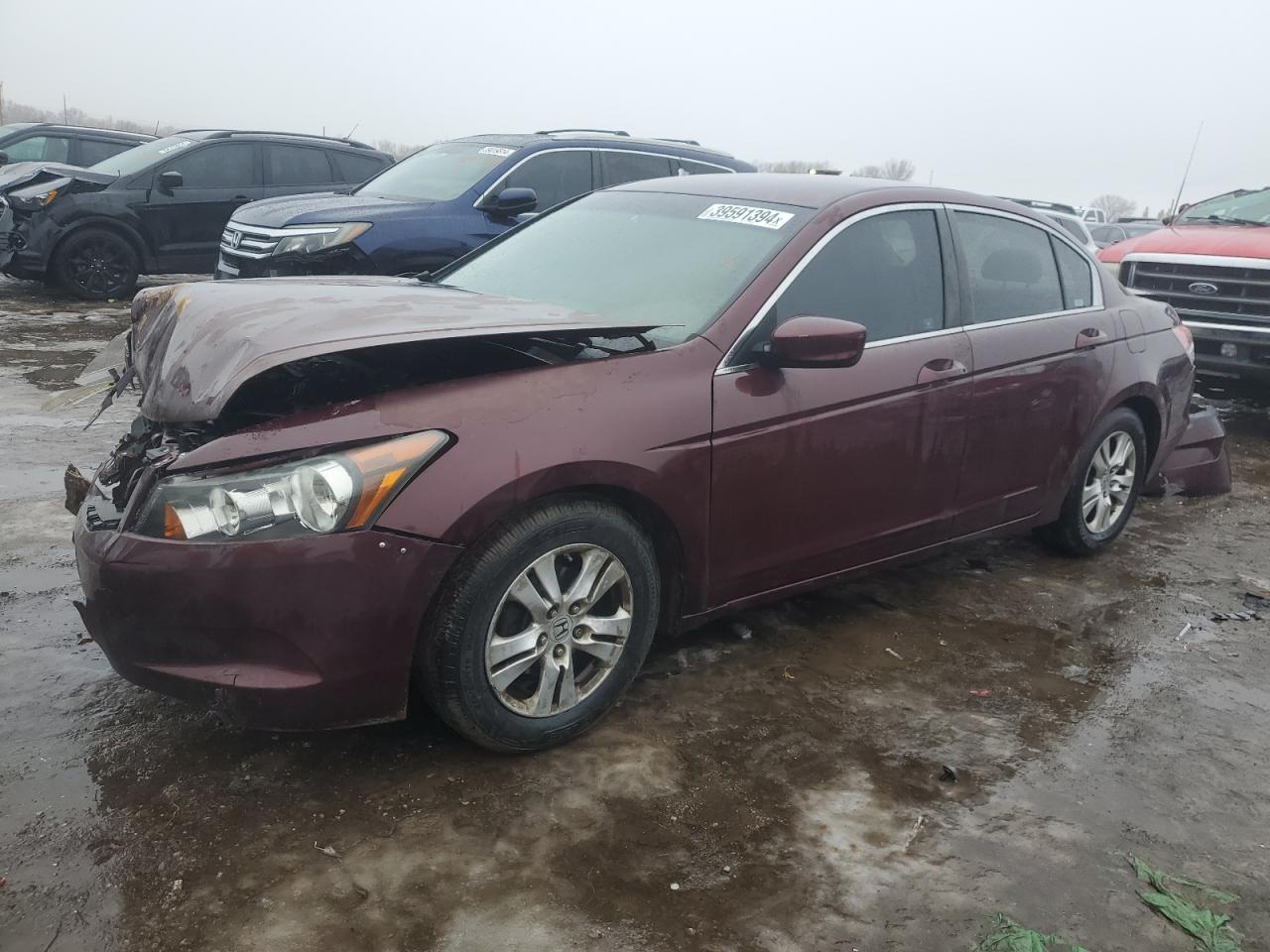 HONDA ACCORD 2009 1hgcp26429a045884