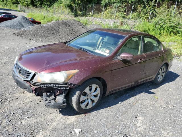 HONDA ACCORD EX 2009 1hgcp26719a133061