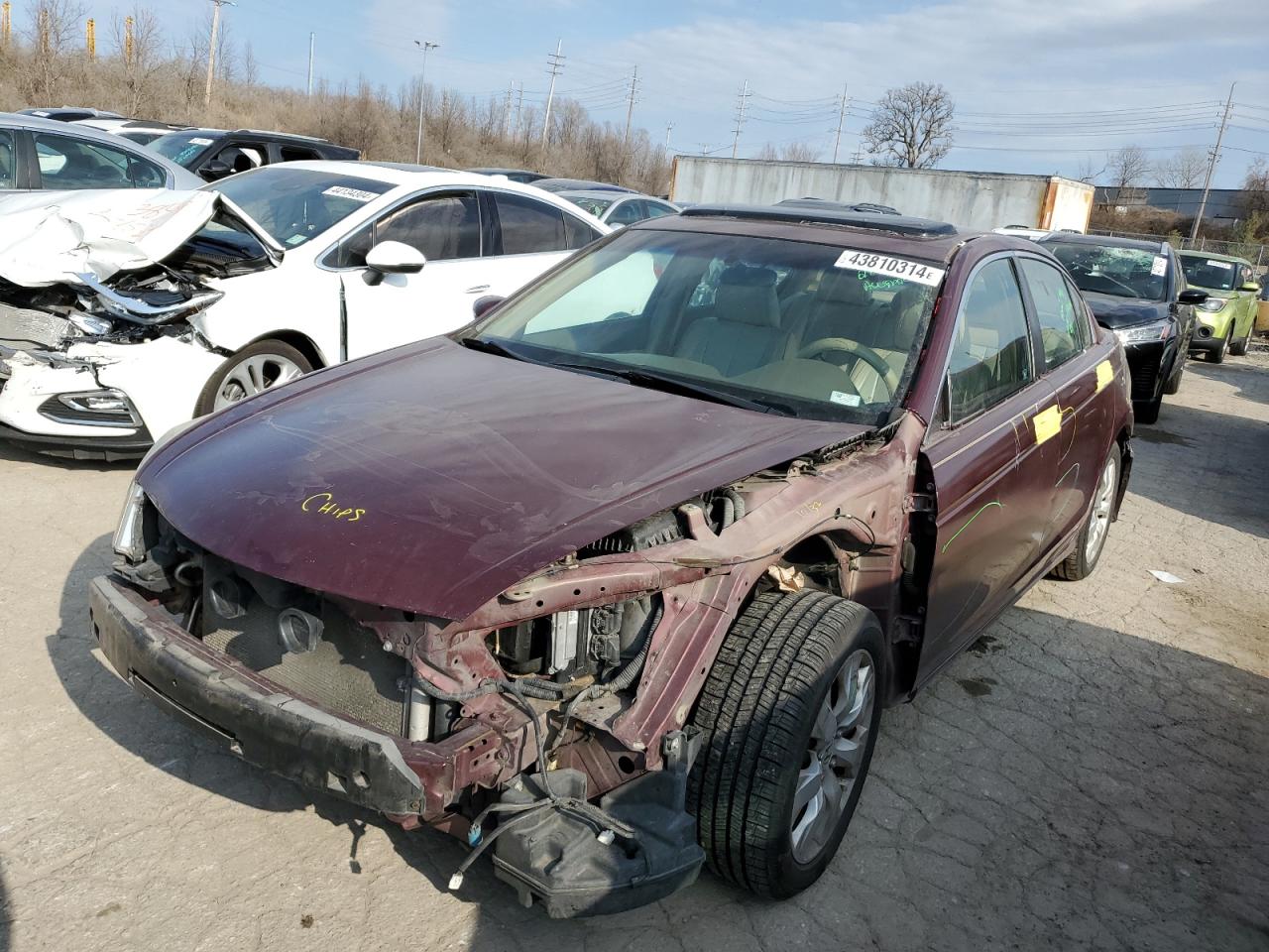 HONDA ACCORD 2009 1hgcp26729a045314