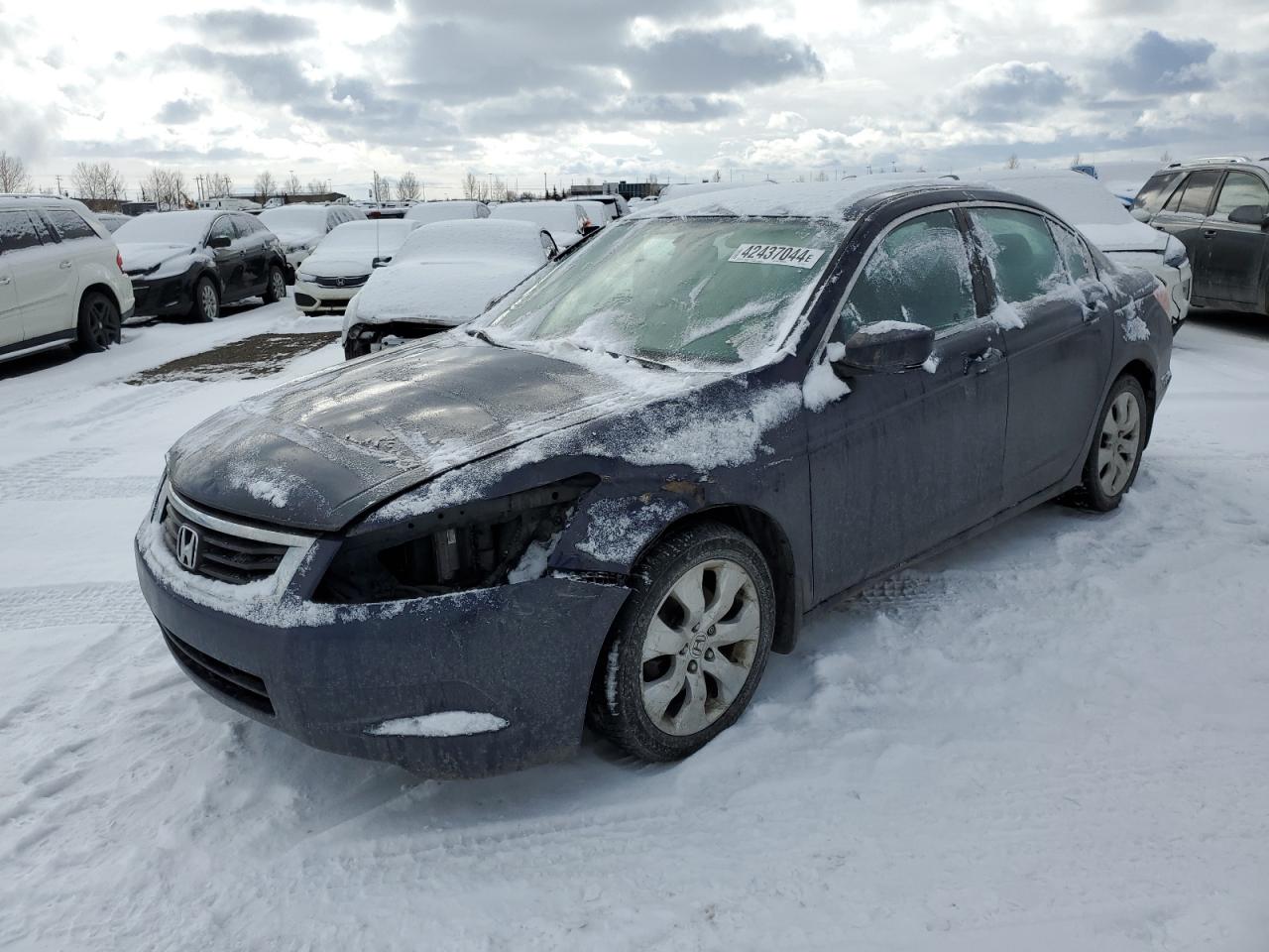 HONDA ACCORD 2009 1hgcp26729a800557